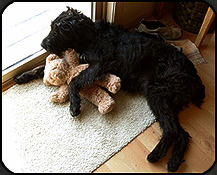 Zoey with her bear.